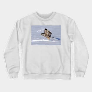 Northern Hawk-Owl Crewneck Sweatshirt